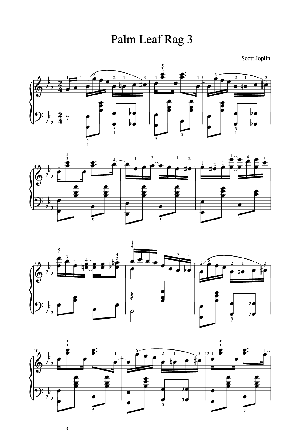 Sheet music preview for Palm Leaf Rag